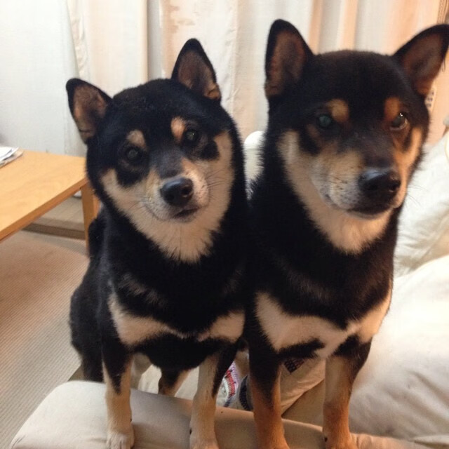 《电竞比赛中的心理战策略揭秘》，电竞 心理