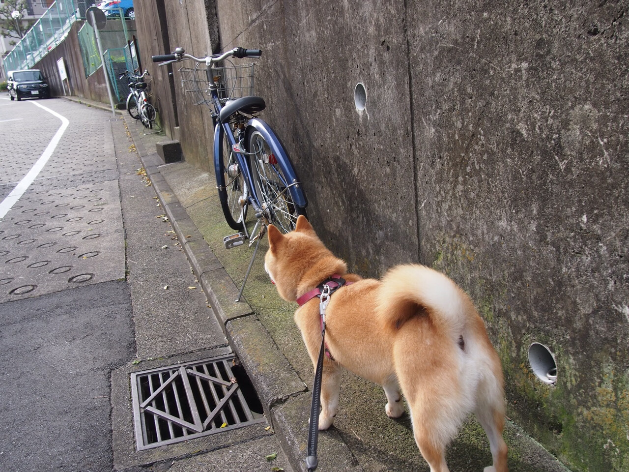 【平局后怎么玩】加时赛新规让每场比赛都值得期待，加时算平局吗