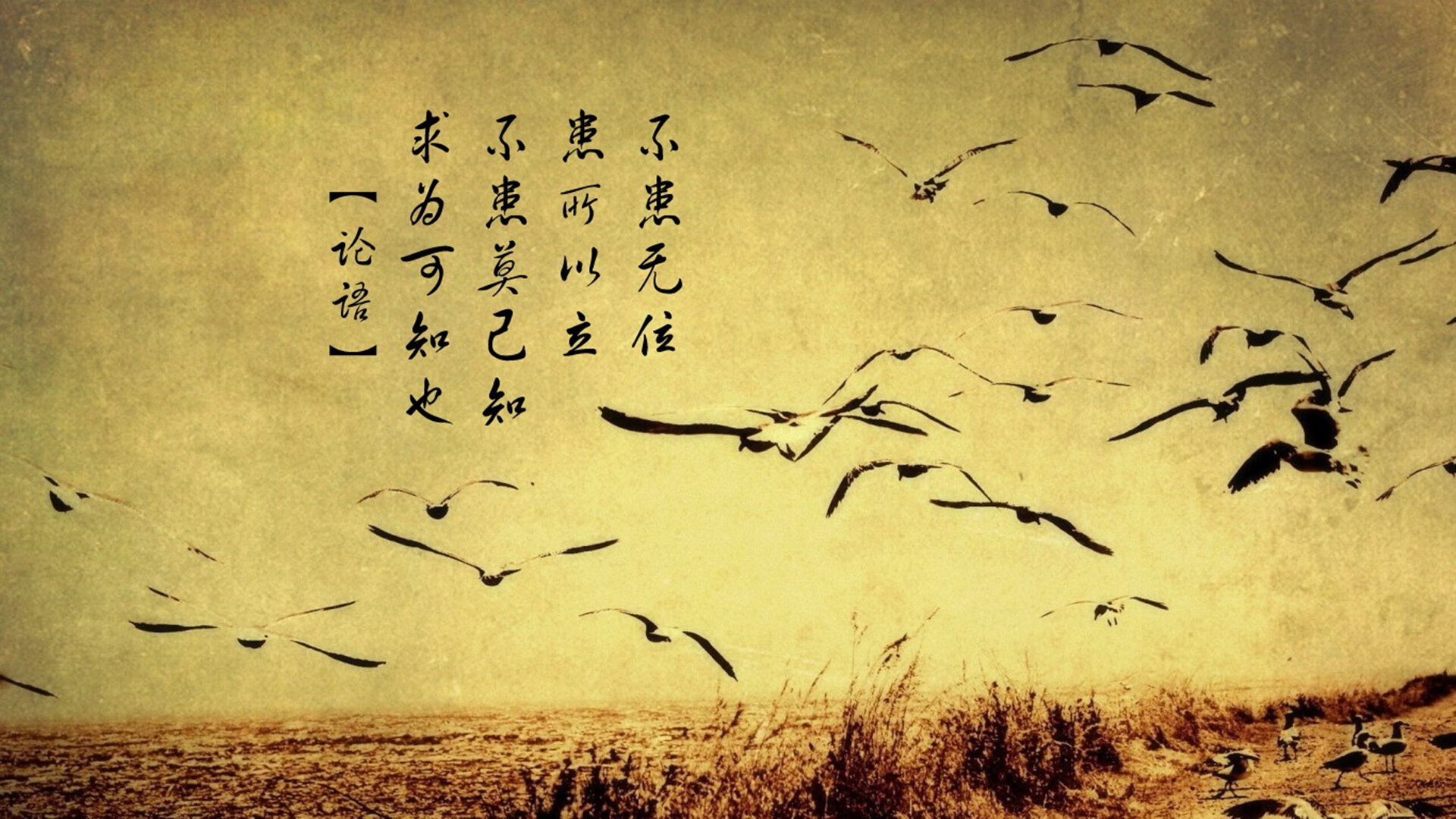 中国篮球裁判员培训课程正式上线，推动裁判专业化，2020篮球裁判培训班